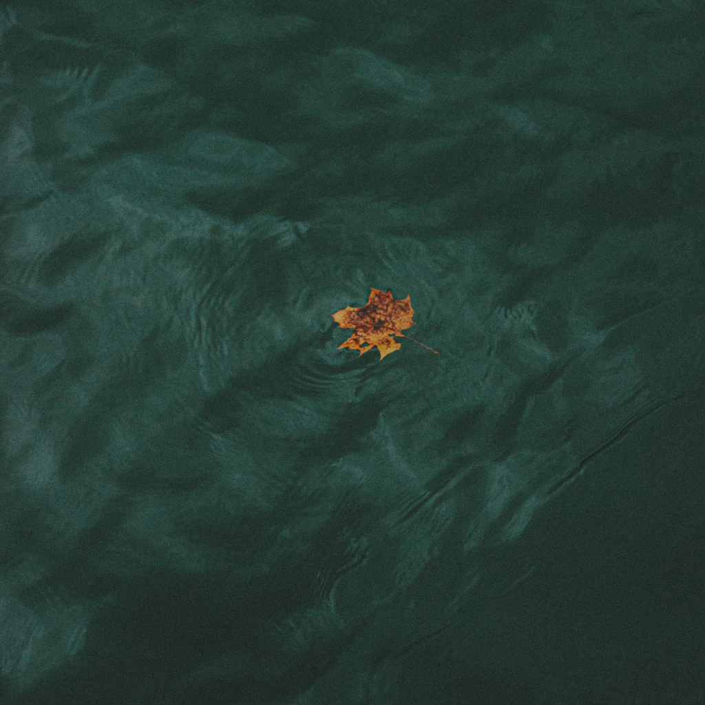 5 Consejos Bíblicos para cristianos que viven en soledad 3