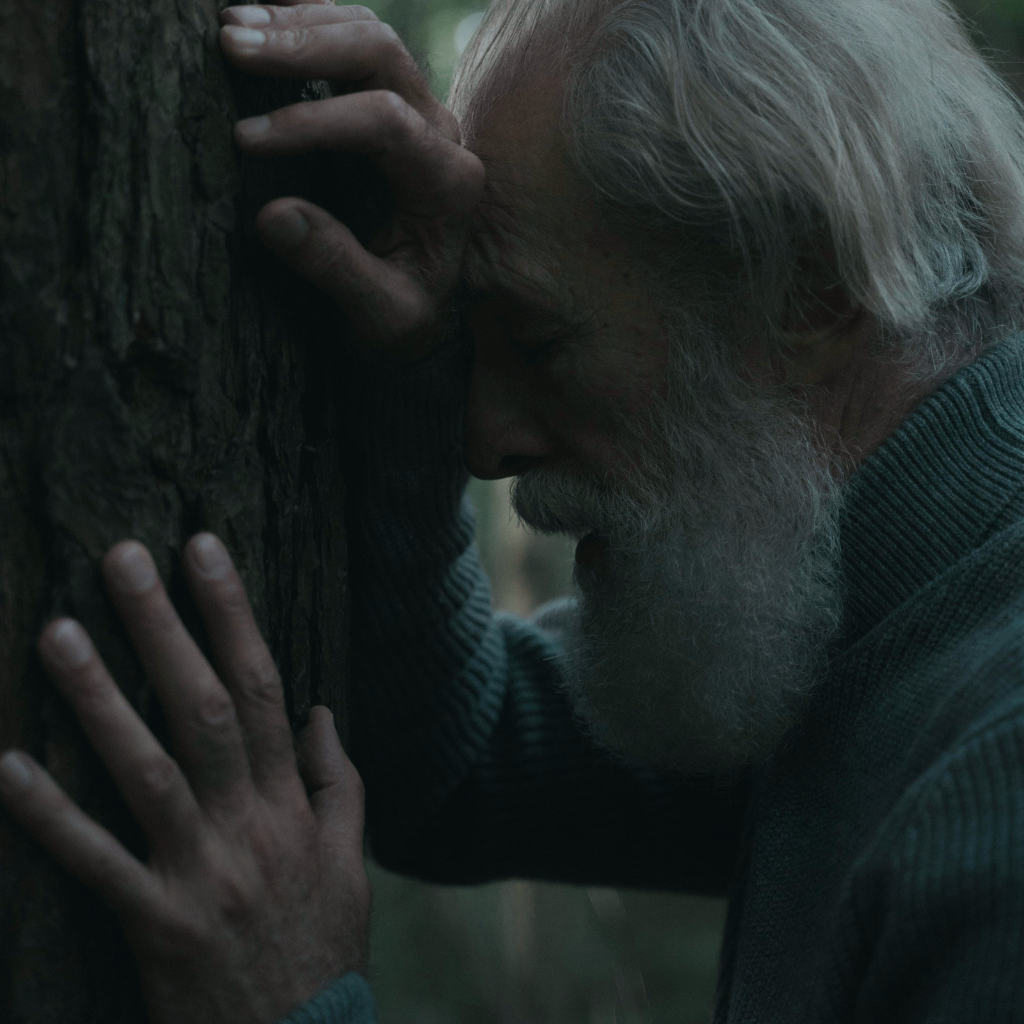 ¿Qué es el plan de salvación? 3