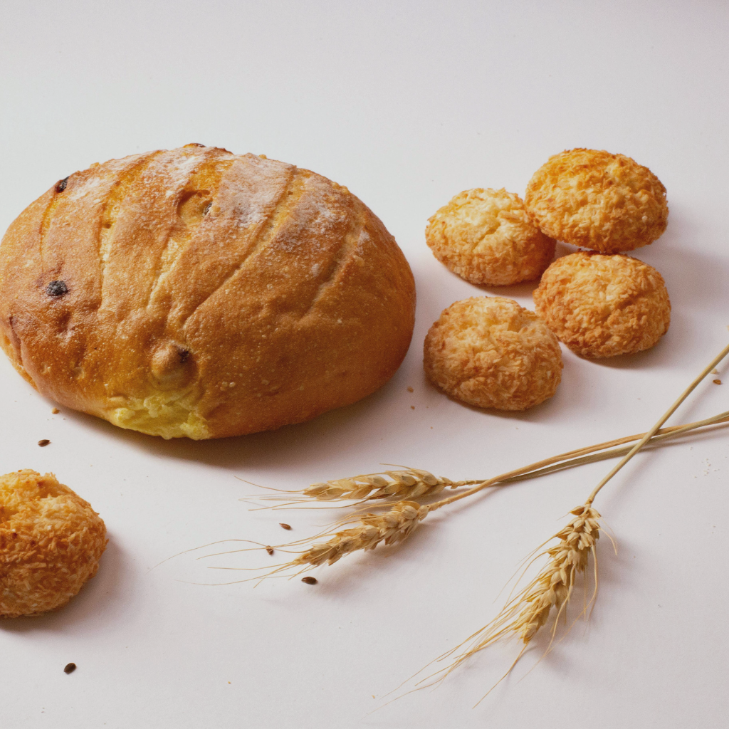 Jesús, el pan de vida 2