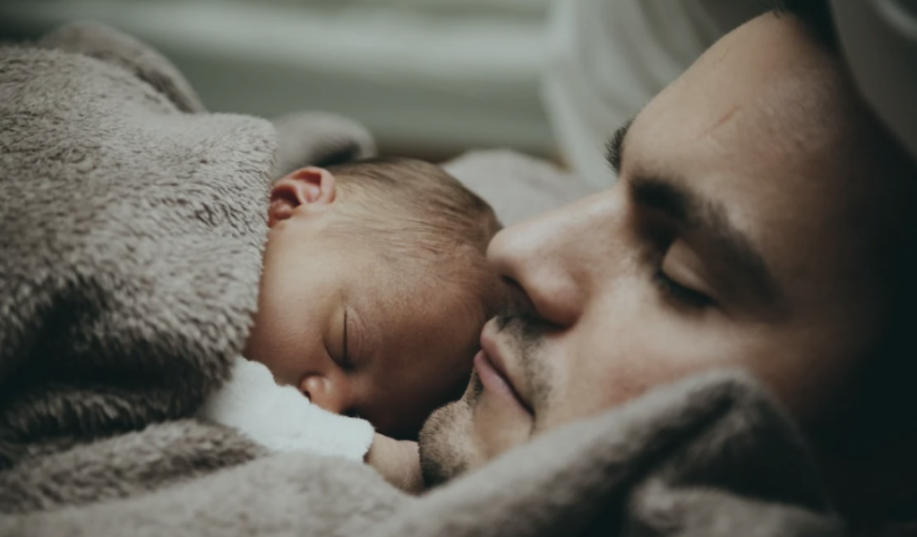 La asombrosa aventura de la paternidad 1