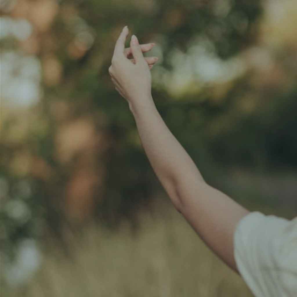 Motivaciones 2: ¿Dónde satisfacemos nuestros deseos? 2