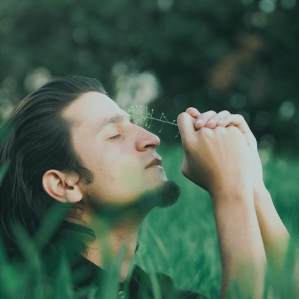 Motivaciones 2: ¿Dónde satisfacemos nuestros deseos? 3