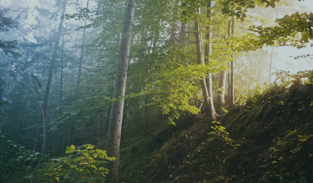 Motivaciones 4: Glorificar a Dios 1